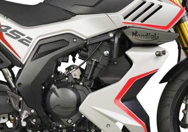FB Mondial Piega 452 (2024 - 25) - immagine 4